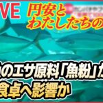 【ライブ】円相場が乱高下：中華まんにも値上げの波 / 円安で給料アップ / 養殖魚のエサの原材料「魚粉」高騰 / 来春の電気代「2000～3000円」上昇か　など（日テレNEWS ）