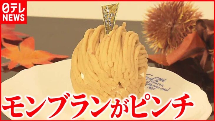 【秋の味覚】輸入も国産も 「栗」が高値でモンブランが… “2年前の災害”影響も