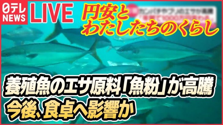 【ライブ】円相場が乱高下：中華まんにも値上げの波 / 円安で給料アップ / 養殖魚のエサの原材料「魚粉」高騰 / 来春の電気代「2000～3000円」上昇か　など（日テレNEWS ）