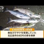 【緊迫】相次ぐ“サケ密漁”　検挙の瞬間「動くな」(2022年10月27日)