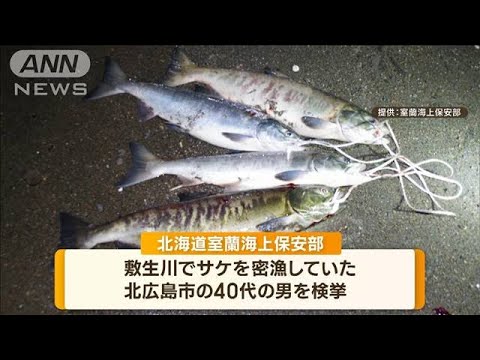 【緊迫】相次ぐ“サケ密漁”　検挙の瞬間「動くな」(2022年10月27日)