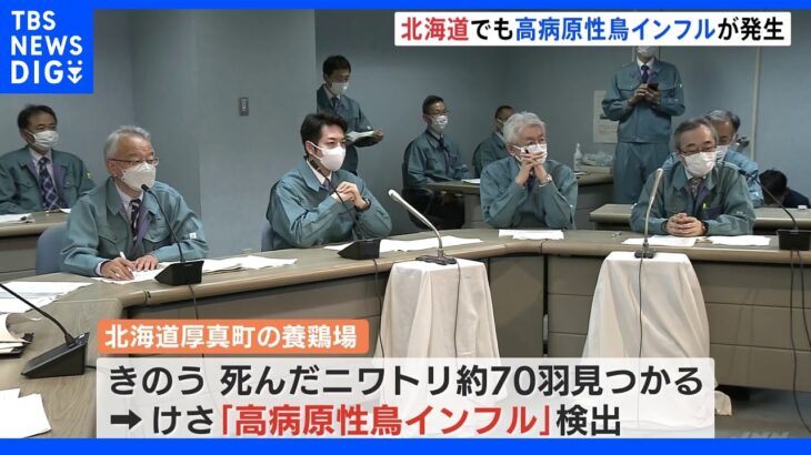 北海道・厚真町の養鶏場でも高病原性鳥インフルエンザ確認　ニワトリ約17万羽を殺処分へ｜TBS NEWS DIG