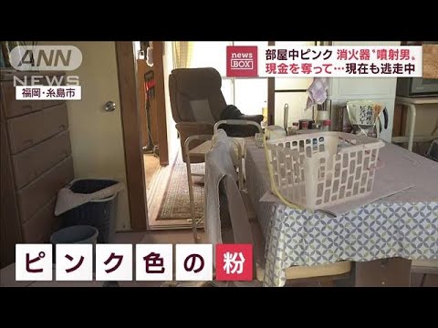 部屋中ピンクの粉が！“黒ずくめ男”窓から侵入、消火器まき散らし…現金奪い逃走(2022年10月28日)