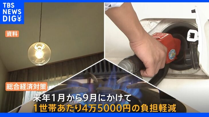 “異例”の経済対策決定　高騰する電気・ガス代の負担軽減策盛り込まれ　1人当たり10万円相当の子育て支援策も｜TBS NEWS DIG