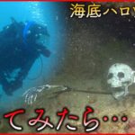 【ダイビング映像】海底にガイコツが…!? 伊豆の海でハロウィーンイベント開催
