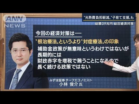 「無意味ではないが“対症療法”だ」39兆円『総合経済対策』効果は？専門家に聞く(2022年10月28日)