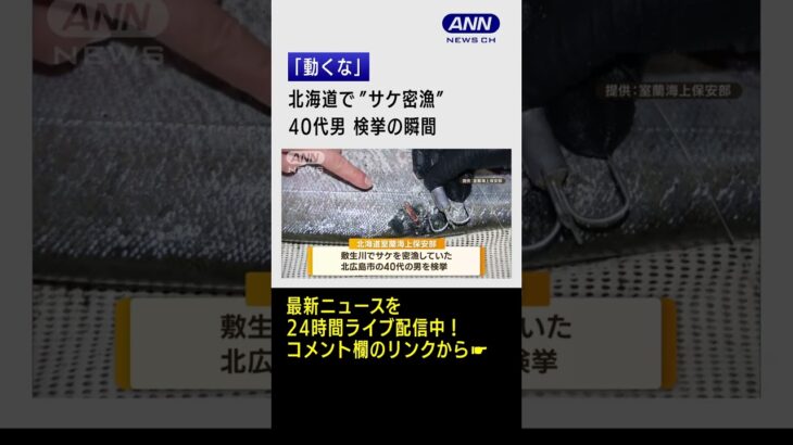 【瞬間】“サケ密漁”で40代男を検挙、北海道　#shorts