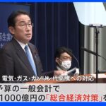 岸田総理 総合経済対策発表　「世帯当たり4万5000円程度の負担軽減」｜TBS NEWS DIG