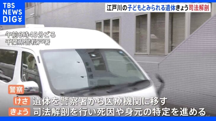 江戸川で見つかった子どもとみられる遺体、5日に司法解剖　松戸市の不明女児との関連は…死因や身元の特定へ｜TBS NEWS DIG