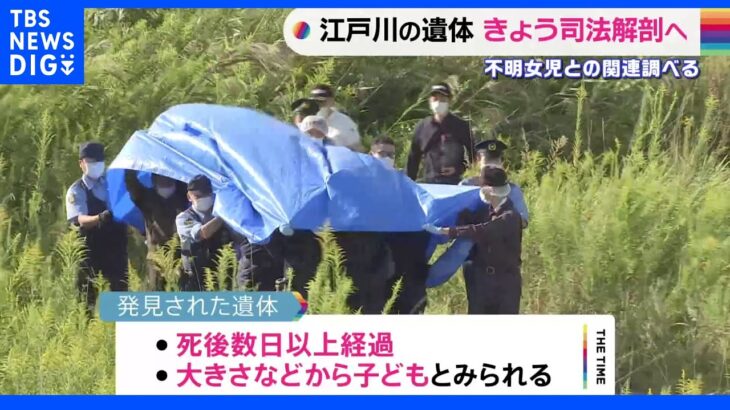 江戸川で見つかった子どもの遺体　5日に司法解剖し松戸市の不明女児との関連捜査へ｜TBS NEWS DIG