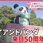 【上野のパンダ来日50周年】グッズやグルメで盛り上がる