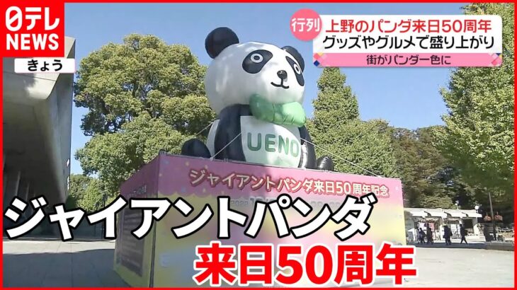 【上野のパンダ来日50周年】グッズやグルメで盛り上がる