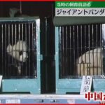 【パンダ・来日から50年】当時の飼育員が語る 上野動物園