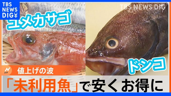 物価高のなか「くら寿司」が500円の海鮮丼を据え置き！カギは“もったいない”を象徴した未利用魚｜TBS NEWS DIG