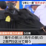 「愛する牛たちとともに」5年に1度の“和牛のオリンピック”が鹿児島で開幕　440頭が出品｜TBS NEWS DIG