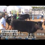 5年に1度“和牛オリンピック”440頭が日本一目指す(2022年10月6日)