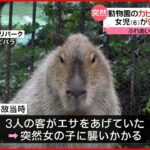 【6歳女児ケガ】動物園のカピバラが人襲う…9針縫うケガ 群馬県