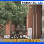 東京・新宿の簡易宿泊所で70代くらいの男性が刺され死亡　容疑者とみられる男確保｜TBS NEWS DIG