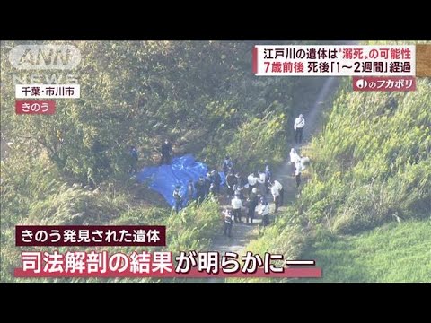 江戸川の遺体は7歳前後、身長約117cmと推定“溺死”判断の要因に「肺の中の水」(2022年10月5日)