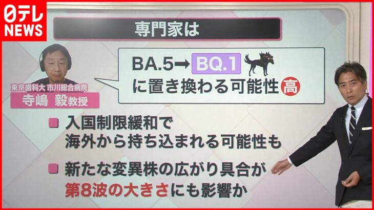 【解説】新型コロナ“第8波”来るか 新たな「変異系統」確認…“免疫逃避”強くワクチン効きにくい？