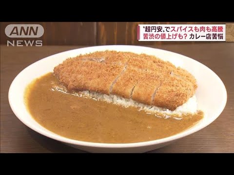 【超円安】カレー店がピンチ！…スパイス「9割が輸入」肉も高騰(2022年10月25日)