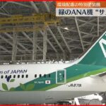 【ANA Green Jet】緑の特別塗装機 りんごジュース“搾りかす”をヘッドレストカバーに