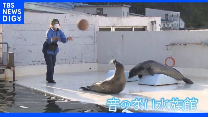 BGMやアナウンスをなくし…1日限定の「音のない水族館」　きっかけは「大きな音が苦手」“聴覚過敏”小2男児の思い　北海道小樽市｜TBS NEWS DIG