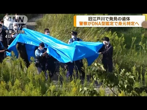 旧江戸川で発見の遺体 警察がDNA型鑑定で身元特定へ(2022年10月6日)