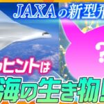 生き物の力で飛行機が変わる？JAXAが開発中の最新機で参考にした、海の中を優雅に泳ぐあの巨大魚とは!?