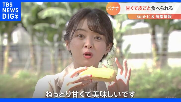 皮ごと食べられるバナナ【SUNトピ】｜TBS NEWS DIG
