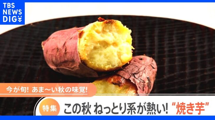 “ホクホク系”VS“ねっとり系”美味し～い“焼き芋”最新情報!｜TBS NEWS DIG