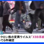 東京都モニタリング会議　新たな変異ウイルスXBB系統都内で6件初確認｜TBS NEWS DIG