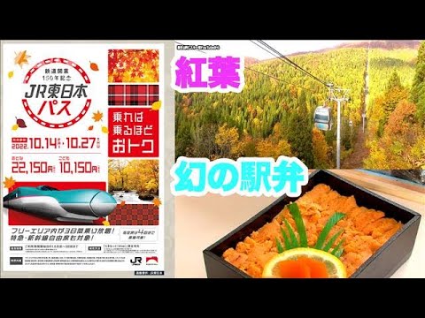 【女子鉄アナ×鳥海高太朗】JR東日本パス“乗り放題”でグルメも紅葉も満喫旅(2022年10月18日)