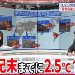 【1.5℃の約束まであと0.4℃】COP27の注目点は…日本は世界の温暖化対策をリードするのか