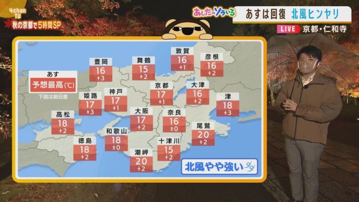 【11月24日(木)】木曜日は天気回復も北風ヒンヤリ　落ち葉増えるため足元に注意【近畿地方】