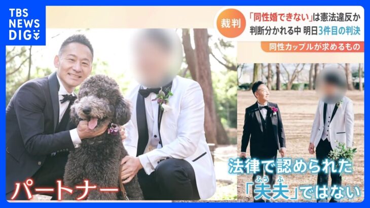 同性カップルが「結婚の平等」訴えた裁判　11月30日　東京地裁で判決｜TBS NEWS DIG