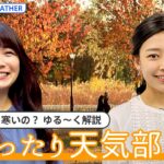 【お天気ライブ】11月7日は立冬 もうすぐ冬がはじまるよ【まったり天気部屋】| TBS NEWS DIG