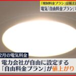 【12月から値上げへ】電気「自由料金プラン」や食品145品目など 収束見通せず