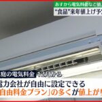 【12月から値上げへ】電気「自由料金プラン」や食品145品目など 収束見通せず