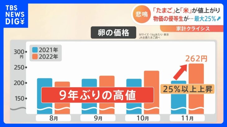 “物価の優等生”「たまご」「米」が値上がり…12月から145品目が値上げ予定｜TBS NEWS DIG