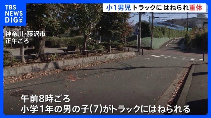 藤沢市で小1男児はねられ重体　トラック運転の23歳男を逮捕｜TBS NEWS DIG