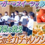 人口1300人の村、たった一つの学校の6年生が取り組む「フードロス問題」　規格外で廃棄される野菜を新たな商品に！