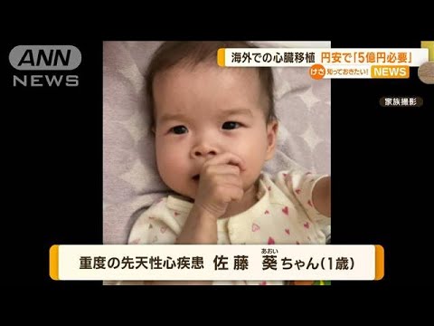 1歳女児　海外で心臓移植　円安で「5.3億円必要に」(2022年11月15日)