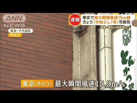 東京で最大瞬間風速“15m超”　きょう「木枯らし1号」可能性(2022年11月14日)