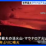 世界最大の活火山　マウナロア火山　1984年以来38年ぶりに噴火｜TBS NEWS DIG
