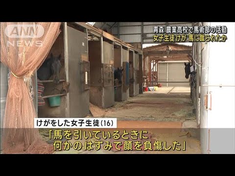 馬に蹴られたか　馬術部の女子生徒、顔から流血(2022年11月23日)