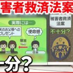 【被害者救済新法案】献金の求め方・救済対象… 2世信者が“訴え” 救済法案と被害“かい離”