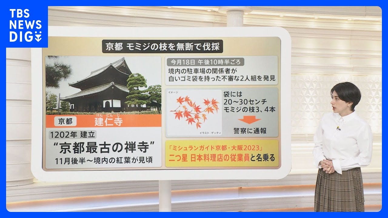 お寺のモミジ無断伐採…正体はミシュラン2つ星日本料理店の従業員｜TBS&nbsp;NEWS&nbsp;DIG