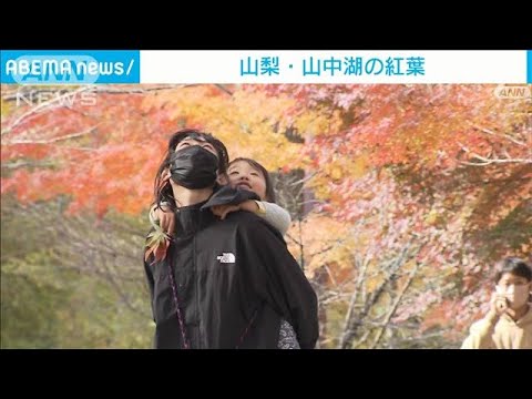 【絶景】色づく秋を満喫…山中湖「紅葉」めぐり(2022年11月5日)