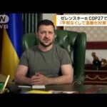 ゼレンスキー氏「平和なくして温暖化対策なし」(2022年11月9日)